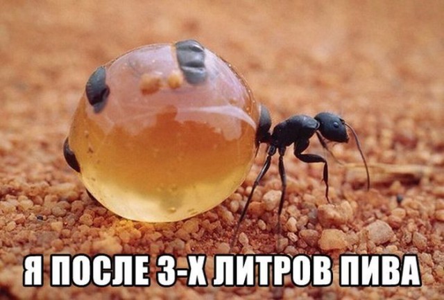 Картинки с надписями