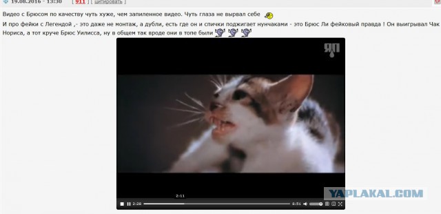 Не играй с азиатами в пин понг!