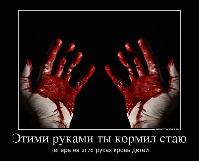 Жительница Самары специально раздавила собаку, вставшую перед её автомобилем