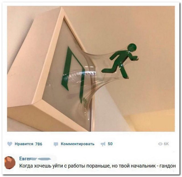 Забавные картинки