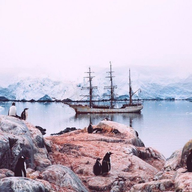 Картинок разных