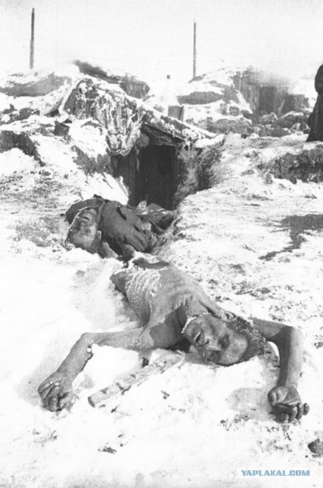 О чем рассказали девочки в Бундестаге?