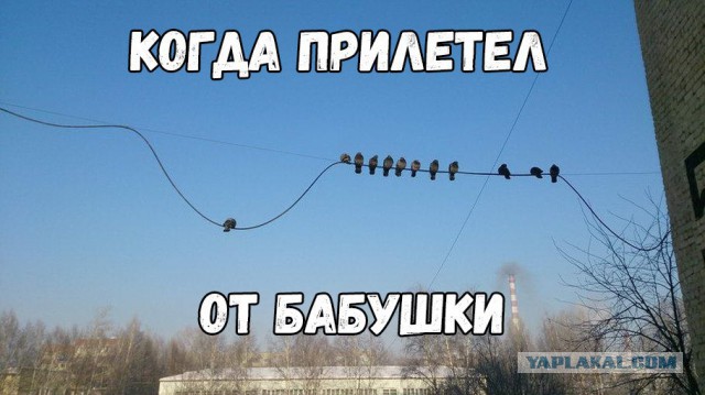 Вспомним былое. Прикольные баяны за 2017 год