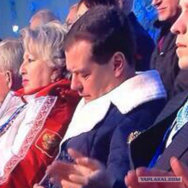 Медведев обязал россиян косить траву