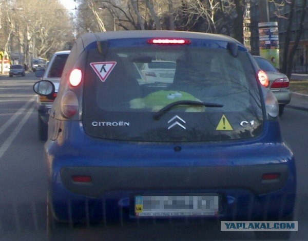 Полный "У"