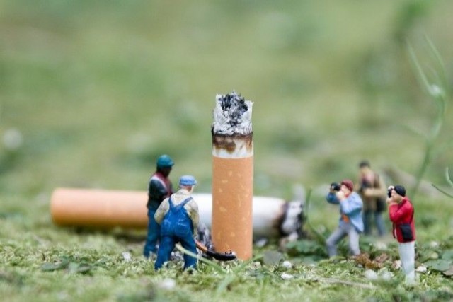 Микромир (7 фото)