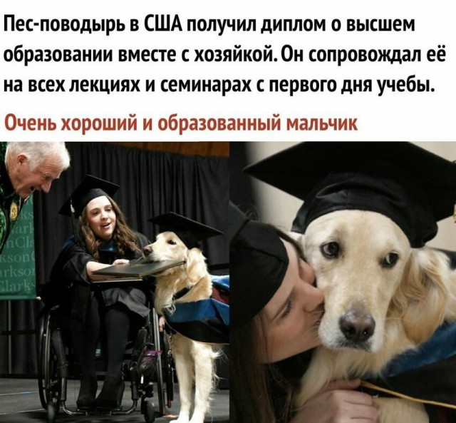 Анекдоты, соц-сети и картинки с надписями