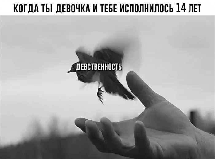 Субботняя адовая вакханалия подъехала