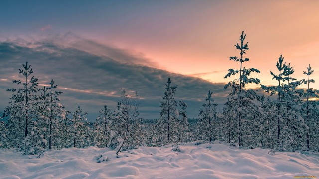 Красивая зимняя тайга