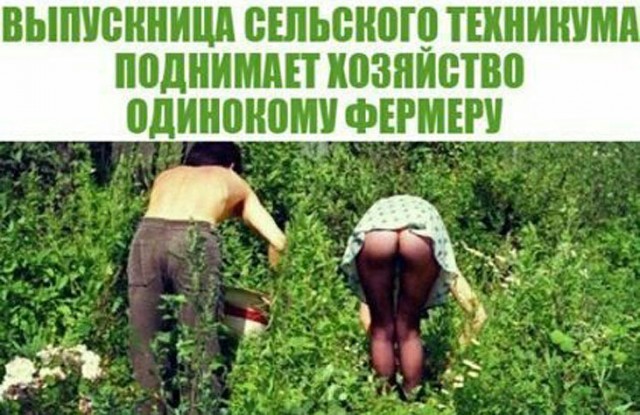 Немного картинок для настроения 16.01.20