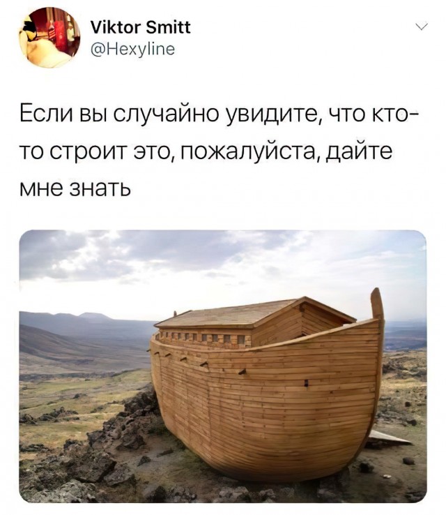 Немного картинок для настроения 31.03.20