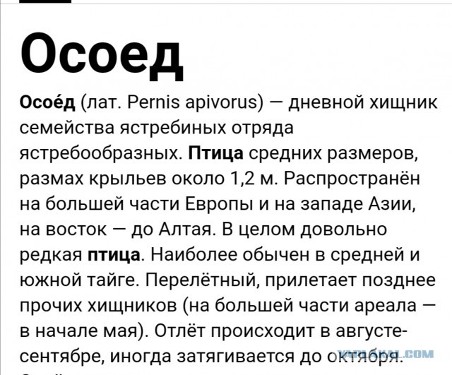 Неожиданная встреча