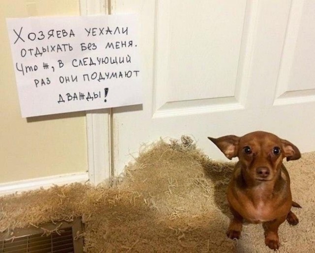 Веселые картинки.