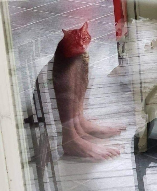 Просто картинки красивые и разные