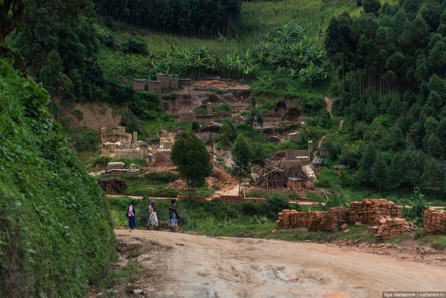 Уганда: самая настоящая Африка с гориллами и носорогами!