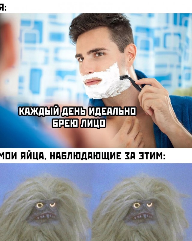 Весёлый полтишок 25.04