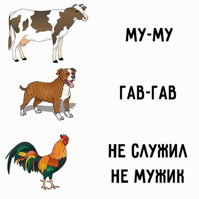 Весёлый полтишок 23.05
