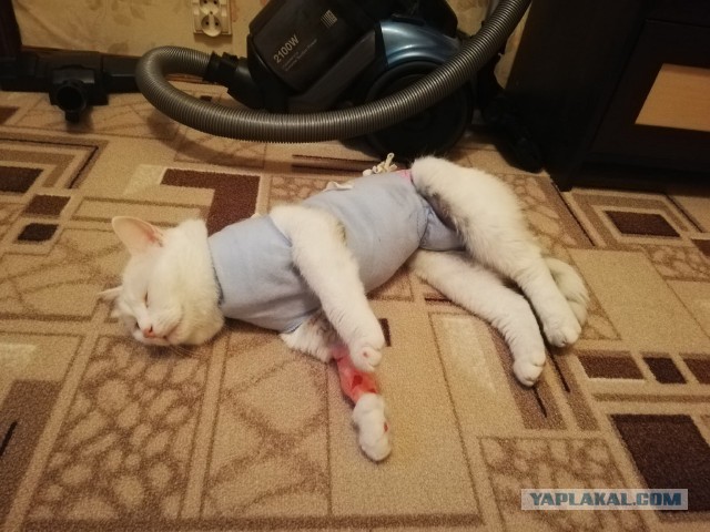 Марсик
