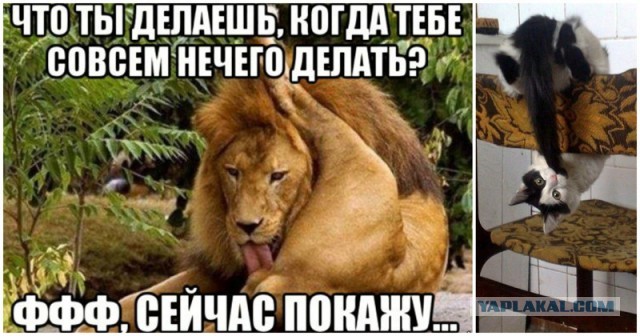 Опять шок и сенсация