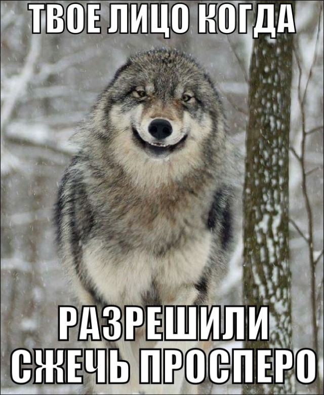 Все как одна