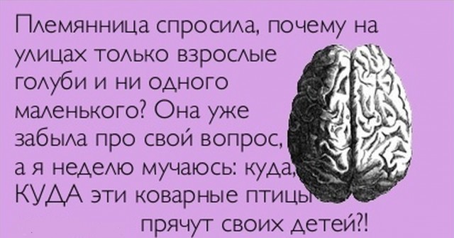 Самураи, которых не было: кто и зачем придумал кодекс Бусидо