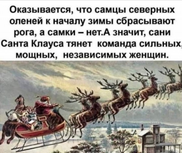 Так себе картинки 15.11.21