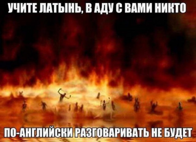 "Купил коту игрушку" и другие картинки