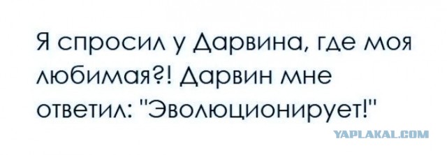 Возможно ли семейно-сексуальная жизнь без минета