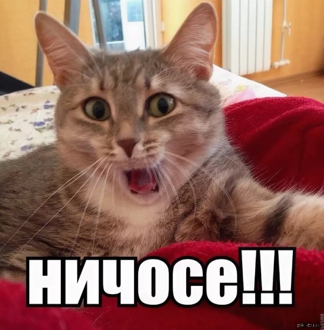 Прикольные и просто красивые картинки 18.11.2022