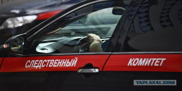 Уголовное дело возбуждено после высадки из автобуса 11-летнего мальчика в Красноярске.