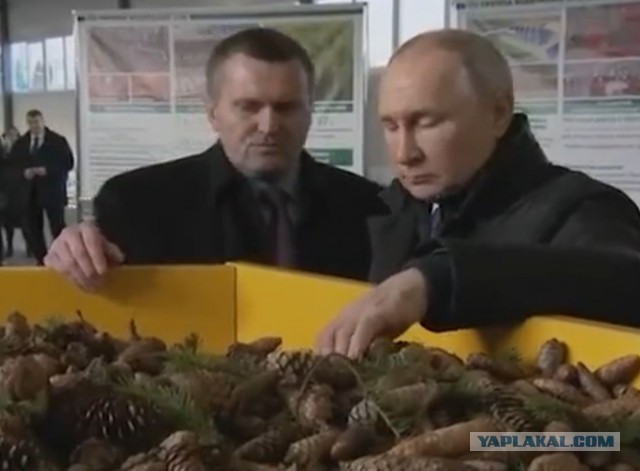 Байден в Киеве