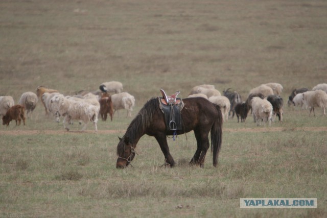 В Монголию на мотоциклах 2006