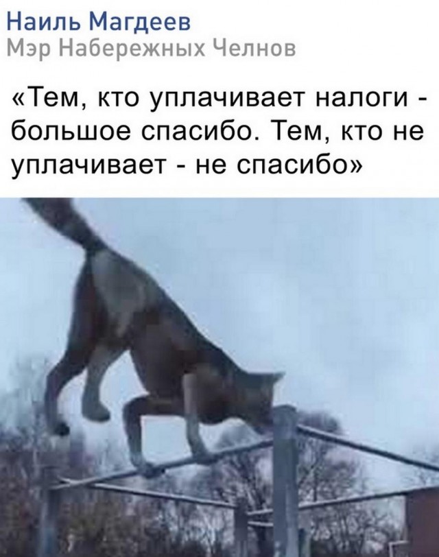 Нуштош 14.03.23