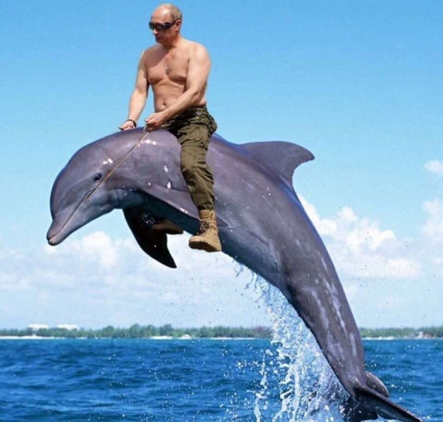 Нашли птичку?