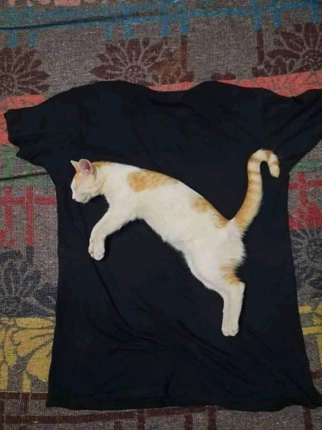 Отличный принт для футболки!