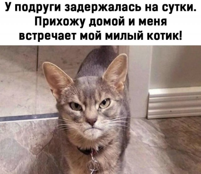 Картинки и мемы, всяко разно - 179