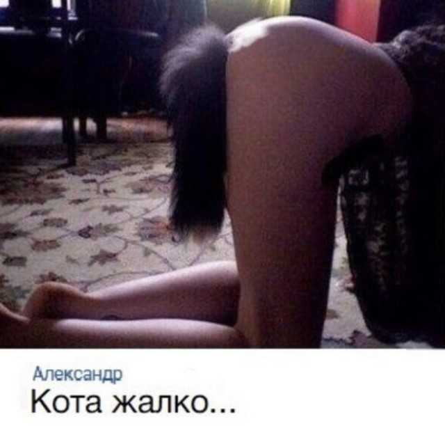 Картинки из Дристоля