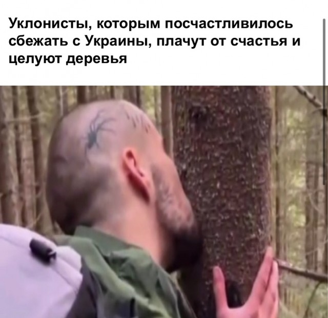 Дневник Ибрагимыча
