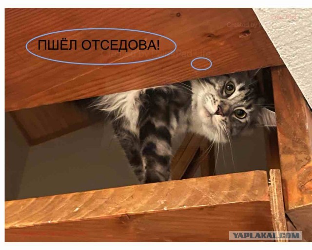 Вот и я стал рабом.
