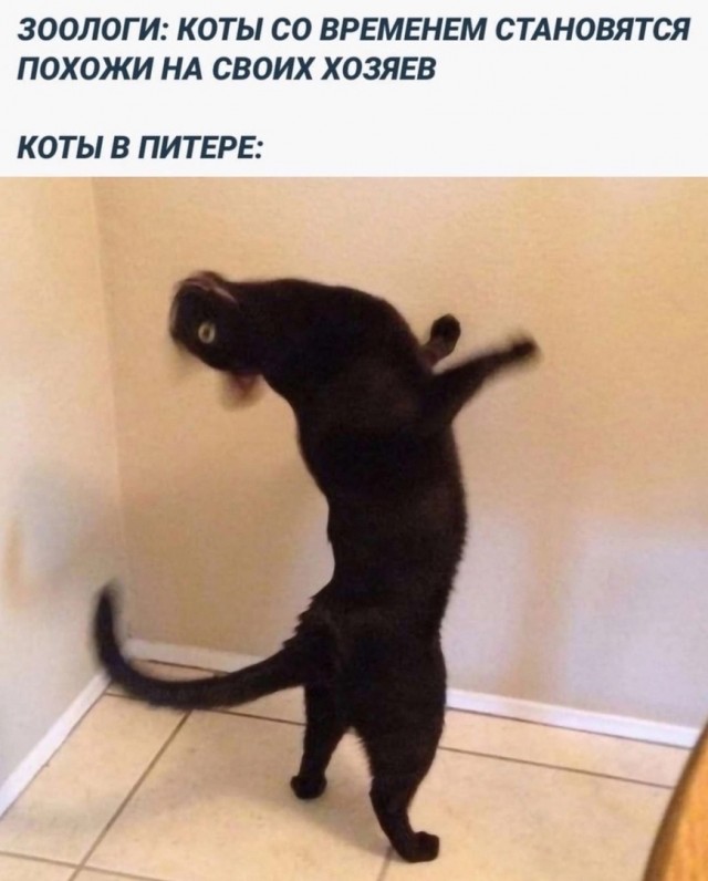 Так себе картинки 27.12.23