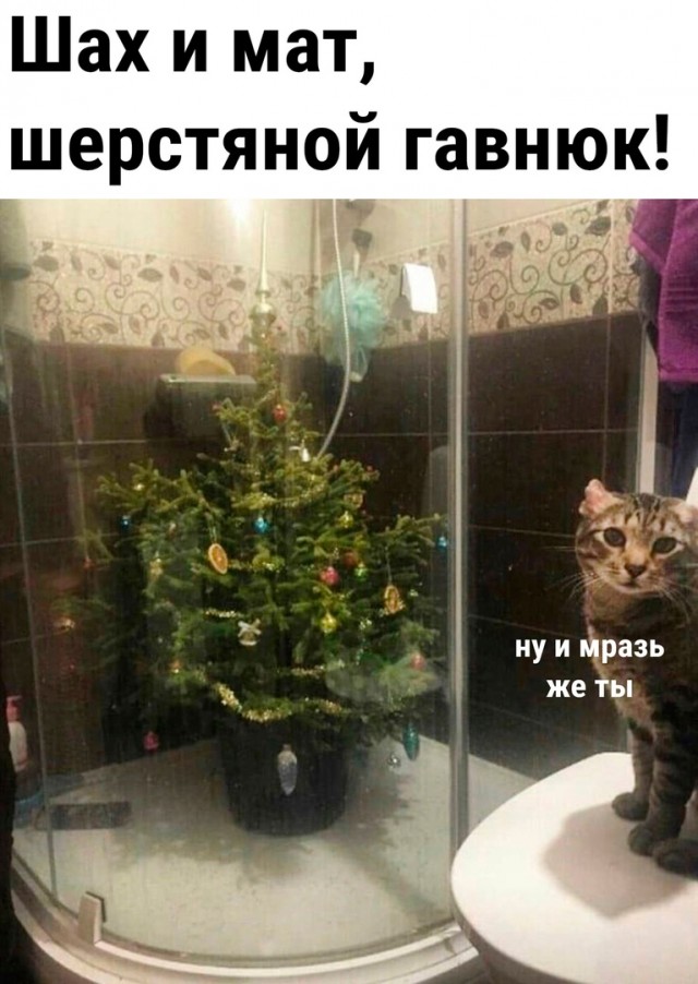 18730634.jpg