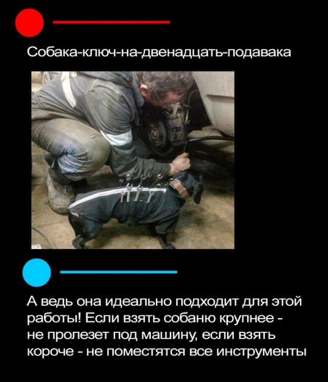 Весёлый полтишок 15.04.24