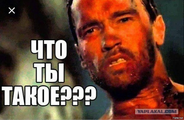 Женщину с ребёнком сняли с рейса United Airlines за то, что она неправильно назвала пол бортпроводника
