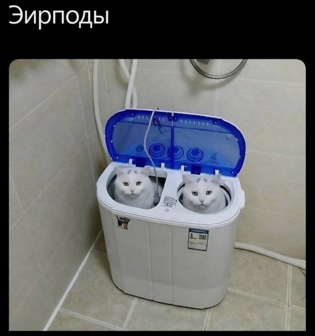 Юмор в картинках и без