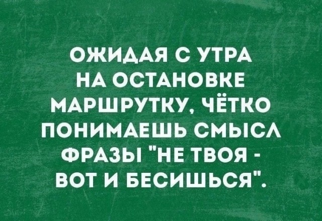 Так себе картинки 23.09.24