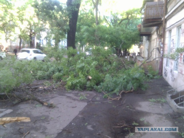 Ураган в Одессе