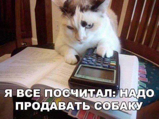 Завалялось тут случайно немного забавных картинок