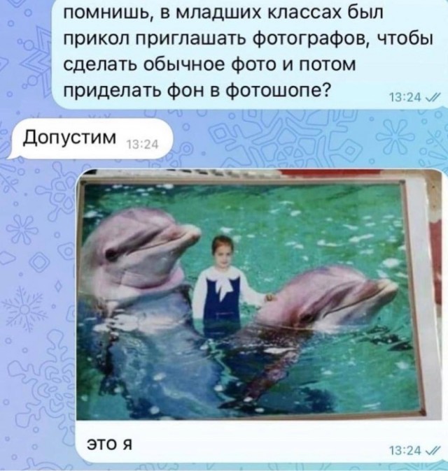 Немного забавных картинок от 22.12.24