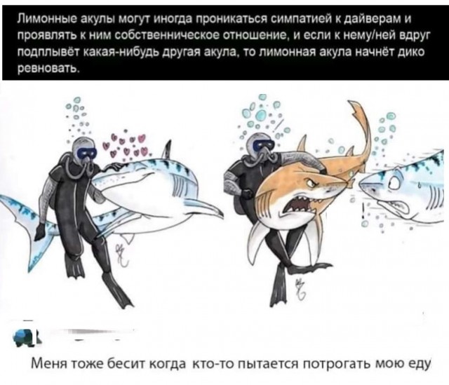 Картинки разные с надписями и без