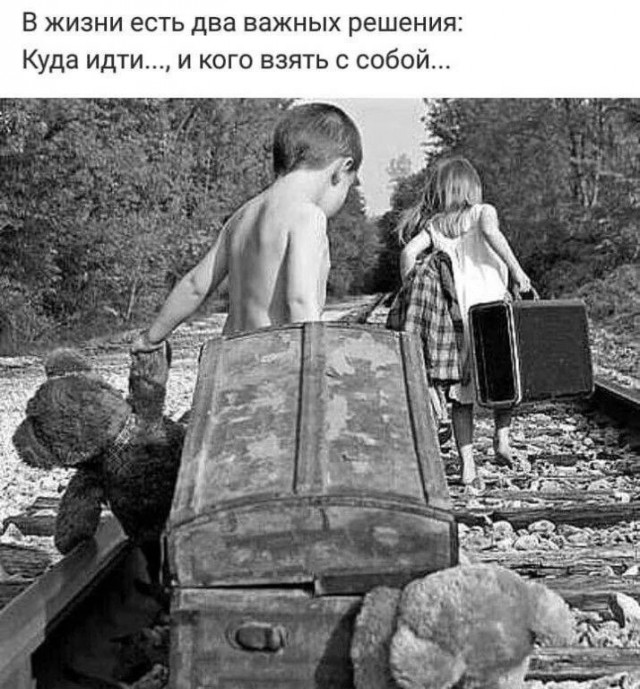 Так себе картинки 28.01.25